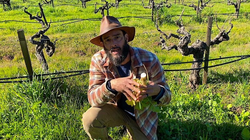 A New Hanzell Emerges