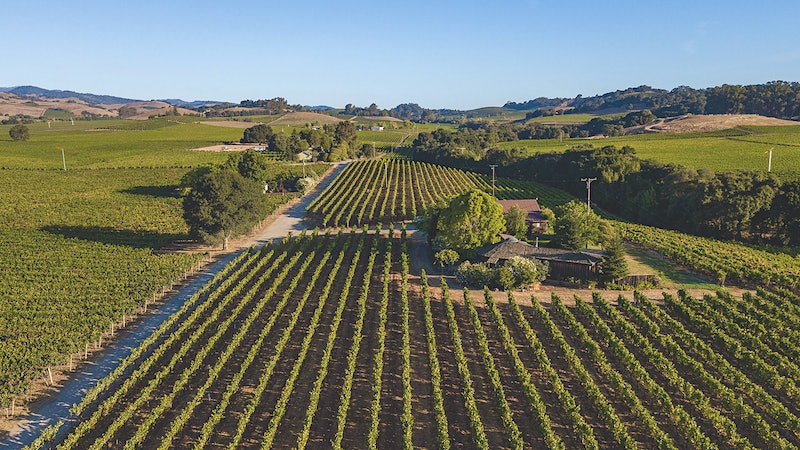 Moving the Bar at Hyde de Villaine